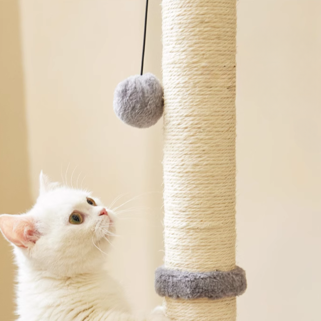 Cat Scratch Post
