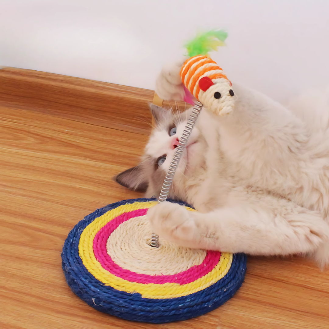 Cat Scratching Spring Board