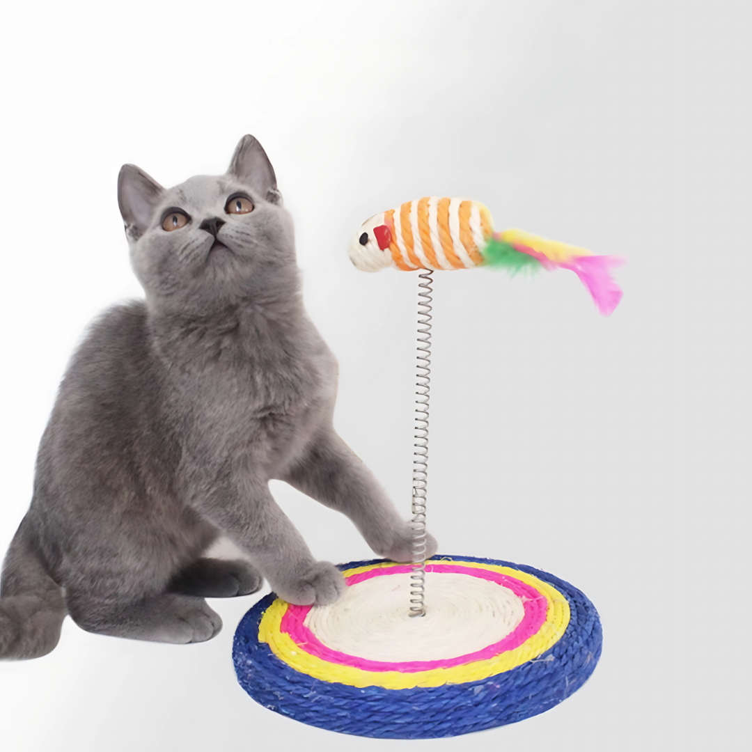Cat Scratching Spring Board