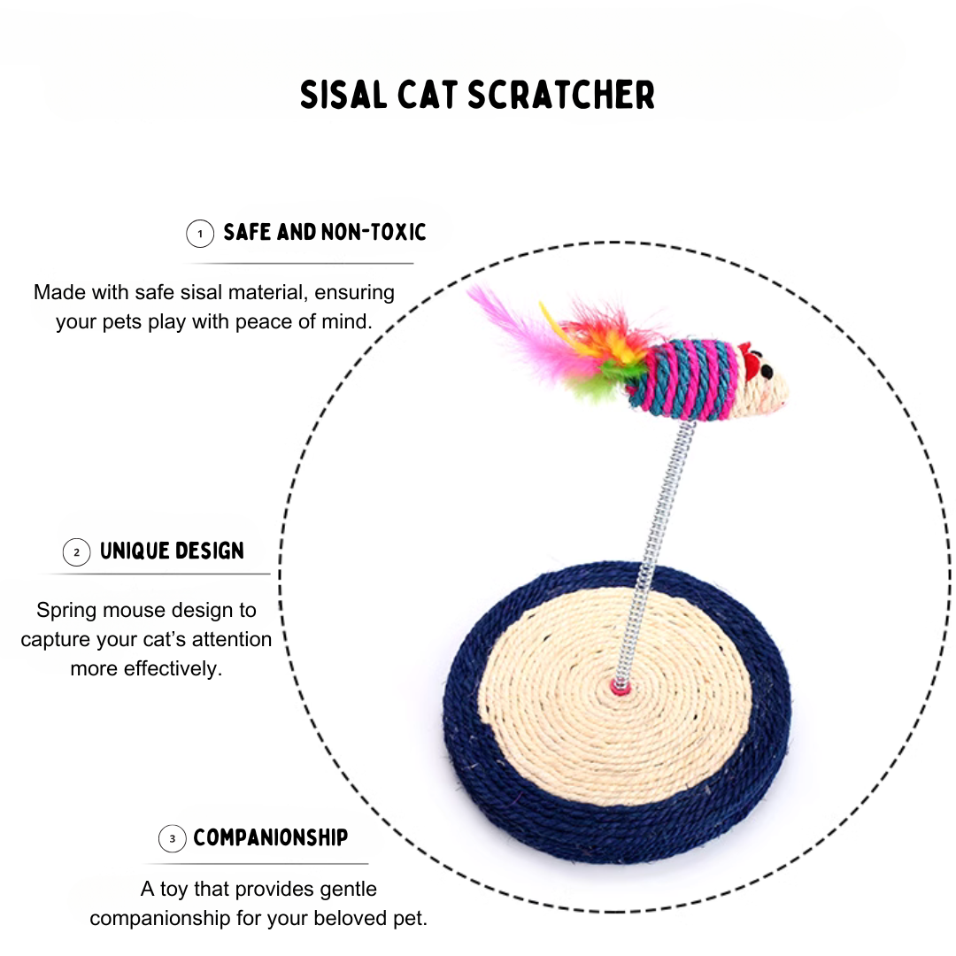 Cat Scratching Spring Board