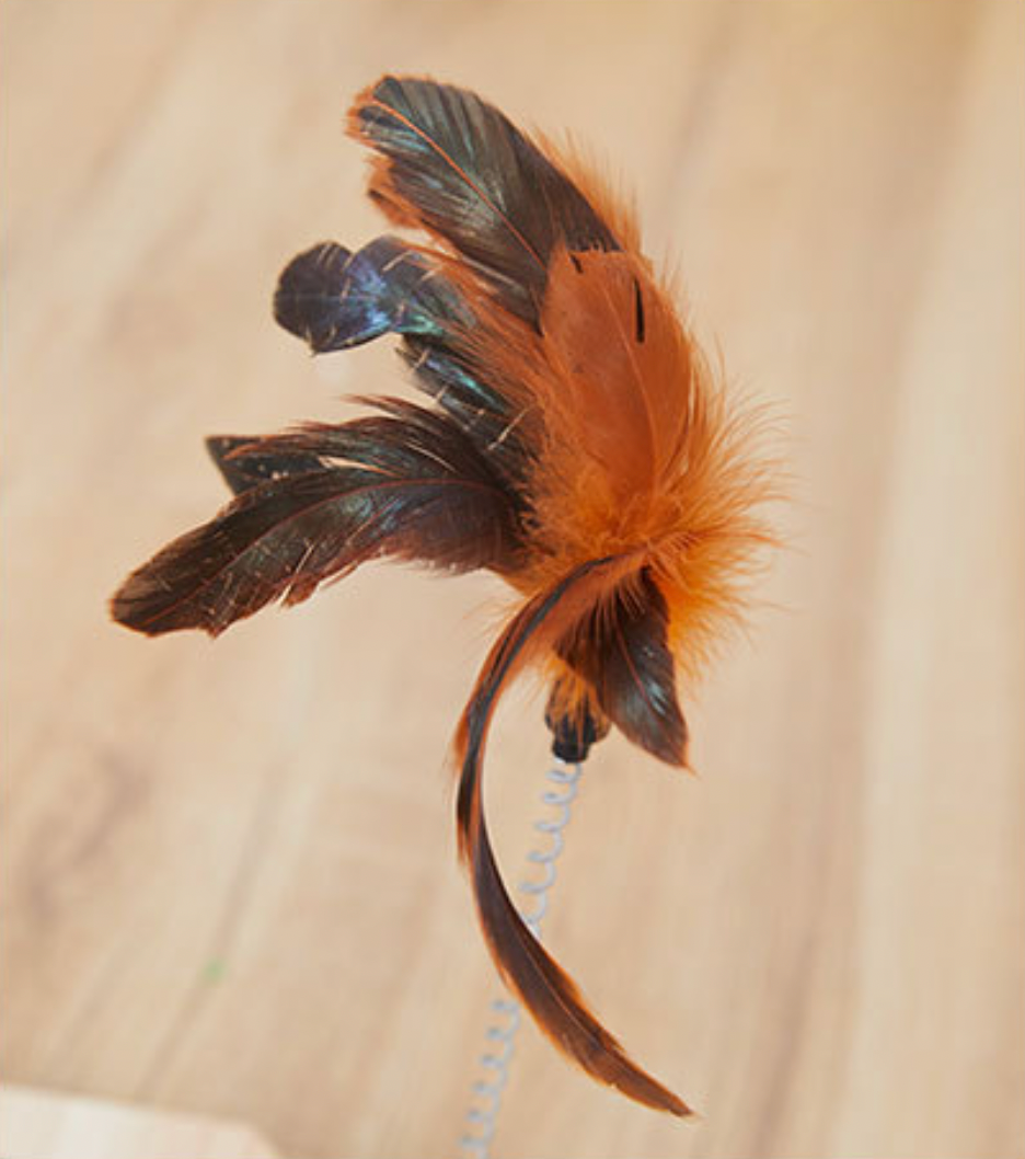 Wooden Scratch Toy