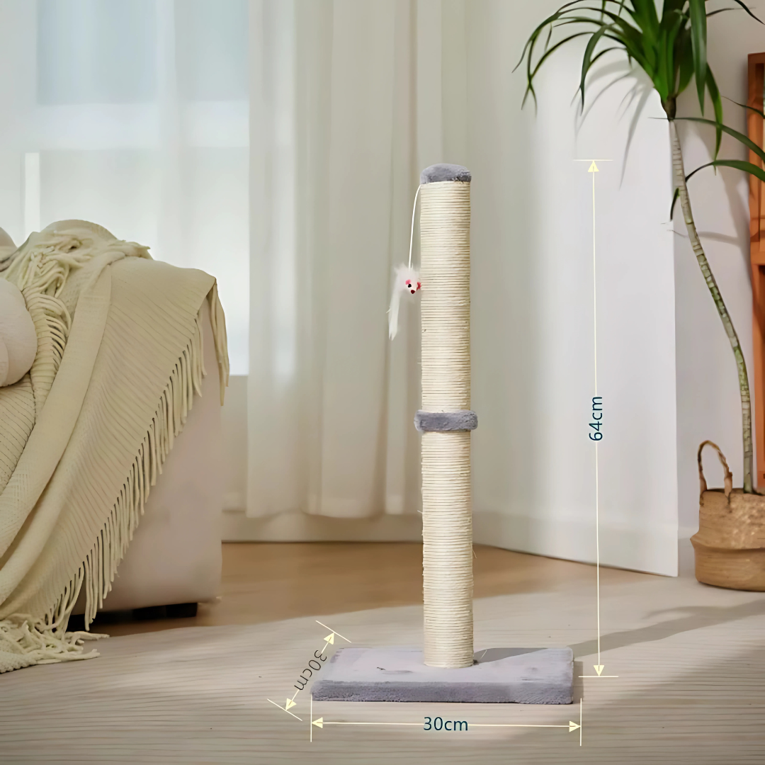 Cat Scratch Post